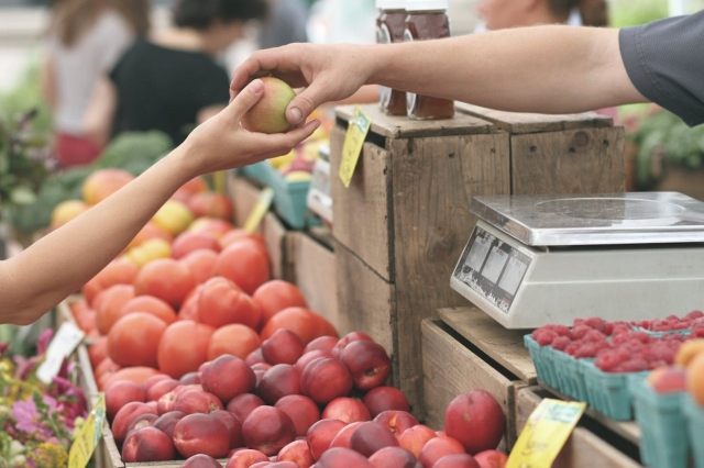 Creating exceptional customer experiences in grocery stores