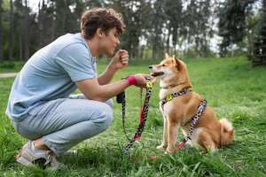 Eco-Friendly Pet Ownership: Zero-Waste Tips for a Greener Pet Lifestyle Eco-Friendly Pet Ownership: Zero-Waste Tips for a Greener Pet Lifestyle