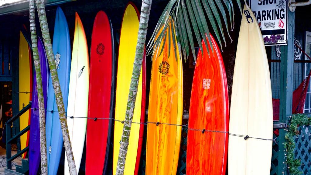 Deep Dive Into Surfing: Different Types of Surfboards cover picture