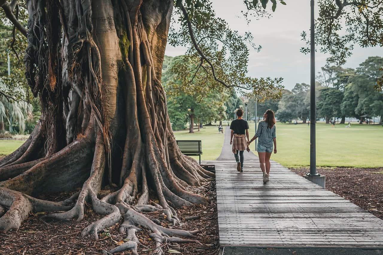 environmental psychology
