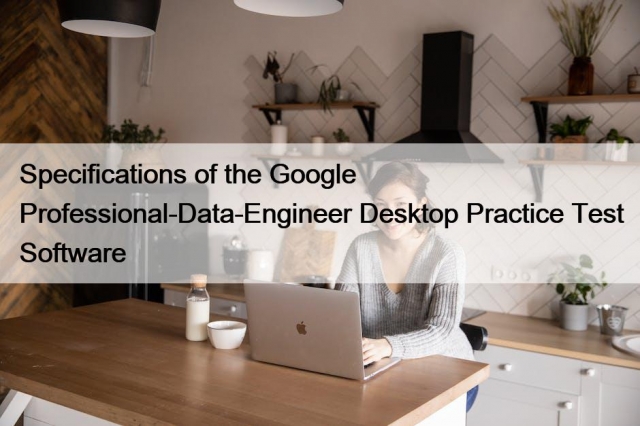 Professional-Data-Engineer Online Praxisprüfung