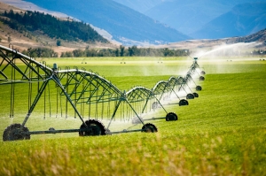 Maximizing Efficiency With The Right Irrigation Supplies