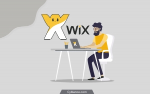 Everything You Should Know About Wix Ecommerce