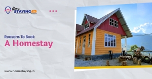 Reasons To Book A Homestay 