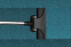 Tips for Identifying Signs of Carpet Damage