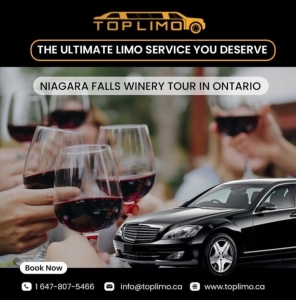 Niagara Falls Limo Service and Winery Tours from Top Limo: A Niagara exploration