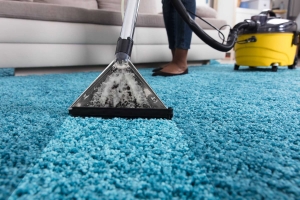 DIY Vs. Professional End of Lease Carpet Cleaning: Which is Best?