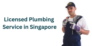 The Crucial Role of Licensed Plumbing Service in Singapore