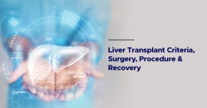 Liver Transplant: Criteria, Surgery, Procedure & Recovery