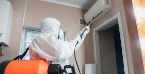How to Get Rid of Pests in Your Home or Office with Pest Control Services in Sharjah