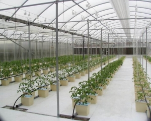 What To Look For In A Hydroponics Equipment Supplier?