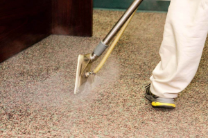 Maximizing The Life Of Your Carpets: Why Regular Steam Cleaning Is Essential?