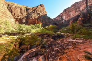 How Can A Guided Tour Help You Discover Hidden Gems In Kimberley?