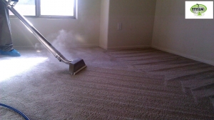 The Science Behind Carpet Steam Cleaning And Its Effectiveness