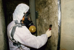 Asbestos Removal: Tips For Finding The Right Professional Service