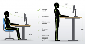 Why A Standing Desk Is The Future Of Office Ergonomics?