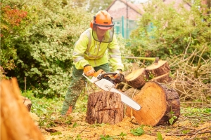 Chop Your Way to Warmth: The Best Chainsaws for Cutting Firewood in the USA