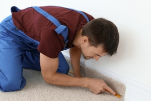 Expert Carpet Installation Services: Enhance Your Home's Comfort and Style