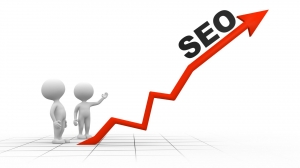 Professional SEO Services in Chandigarh 
