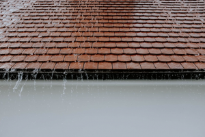 Roofing in Winston-Salem: Finding the Best Contractors Near You