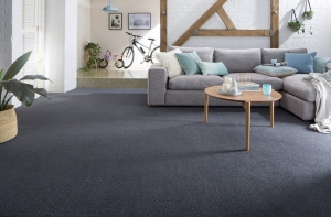 Everything You Need to Know Before Buying Your Carpet