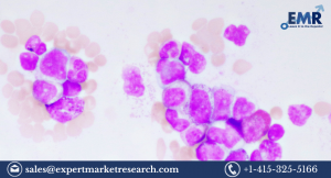 Global Acute Myeloid Leukemia Treatment Market Size To Grow At A Cagr Of 11.4% In The Forecast Period Of 2023-2031