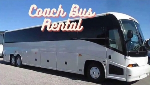 Planning a Successful Family Reunion with Coach Bus Rental
