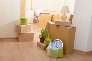 Essential Tips for Choosing Packers and Movers in Bangalore