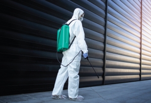 How to Find the Best Pest Control Company for Your Needs