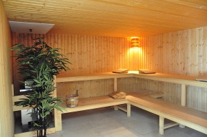 Sauna: Unleashing The Power Of Heat For Detoxification And Wellness