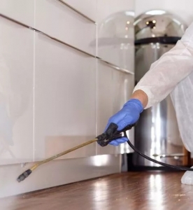 Expert Advice on Choosing the Best Pest Control Company