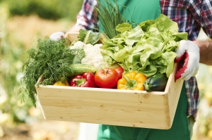 Why Organic Vegetables are Better for Your Mind And Body