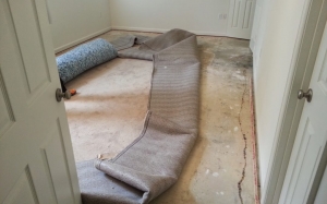 carpet water damage Melbourne, 