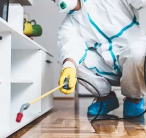 How to Choose the Right Pest Control Method for Your Home