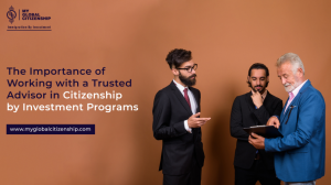 Diving into the Depths of Desire: Exploring the Canadian Citizenship by Investment Program (CCIP)