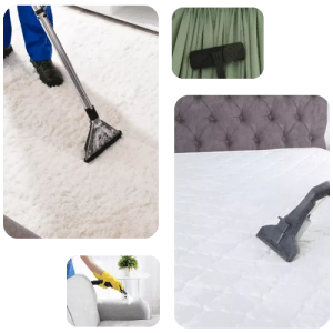 Discover the Benefits of Professional Carpet Steam Cleaning Services in Melbourne