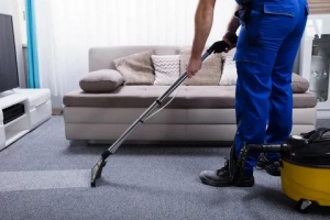 Carpet Care 101: Unveiling the Secrets of Professional Cleaning Services