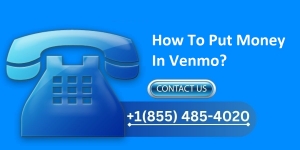 How To Put Money In Venmo?