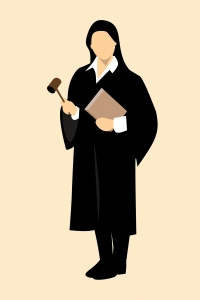 Litigation Attorney