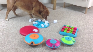 Dog Toys Puzzles