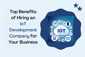 Top Benefits of Hiring a IoT Development Company for Business