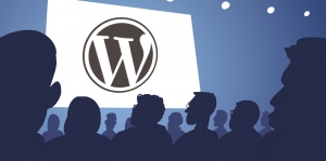 How to Evaluate the Quality and Reliability of WordPress Developers