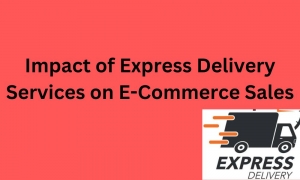 Impact of Express Delivery Services on E-Commerce Sales