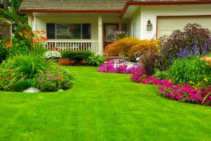 Why Experienced Landscapers Are Essential For Creating Stunning Lawns?