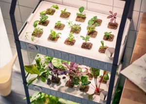 Why Do You Need A Hydroponic Grow Tent For Your Indoor Garden?
