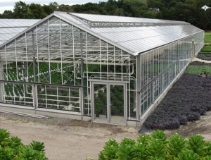 Greenhouse: Your One-Stop Shop for Green Home Choices