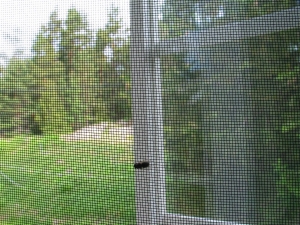 Insect Screen Frame: A Creative Way to Keep Your Home Looking Clean and neat