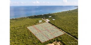 Discover Little Cayman: Land for Sale and More