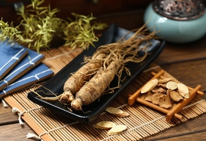 Ginseng Extract Market Growth, Scope, Trends Analysis and Forecast 2023-2028
