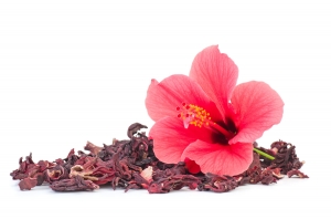 Hibiscus Flower Powder Market Size, Growth Factors and Forecast Report 2023-2028